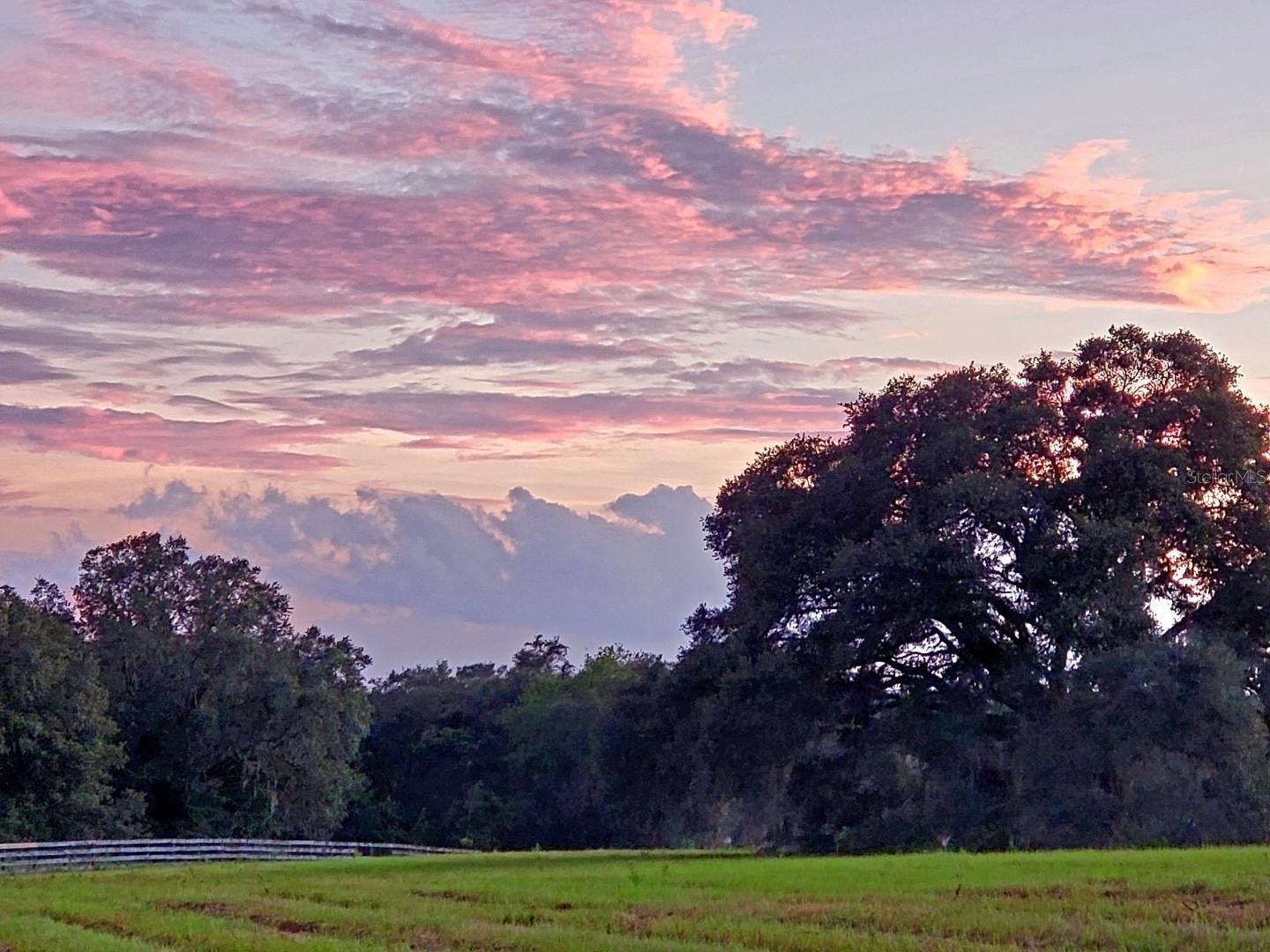 1077 SW 144TH COURT RD, OCALA, FL, 34481