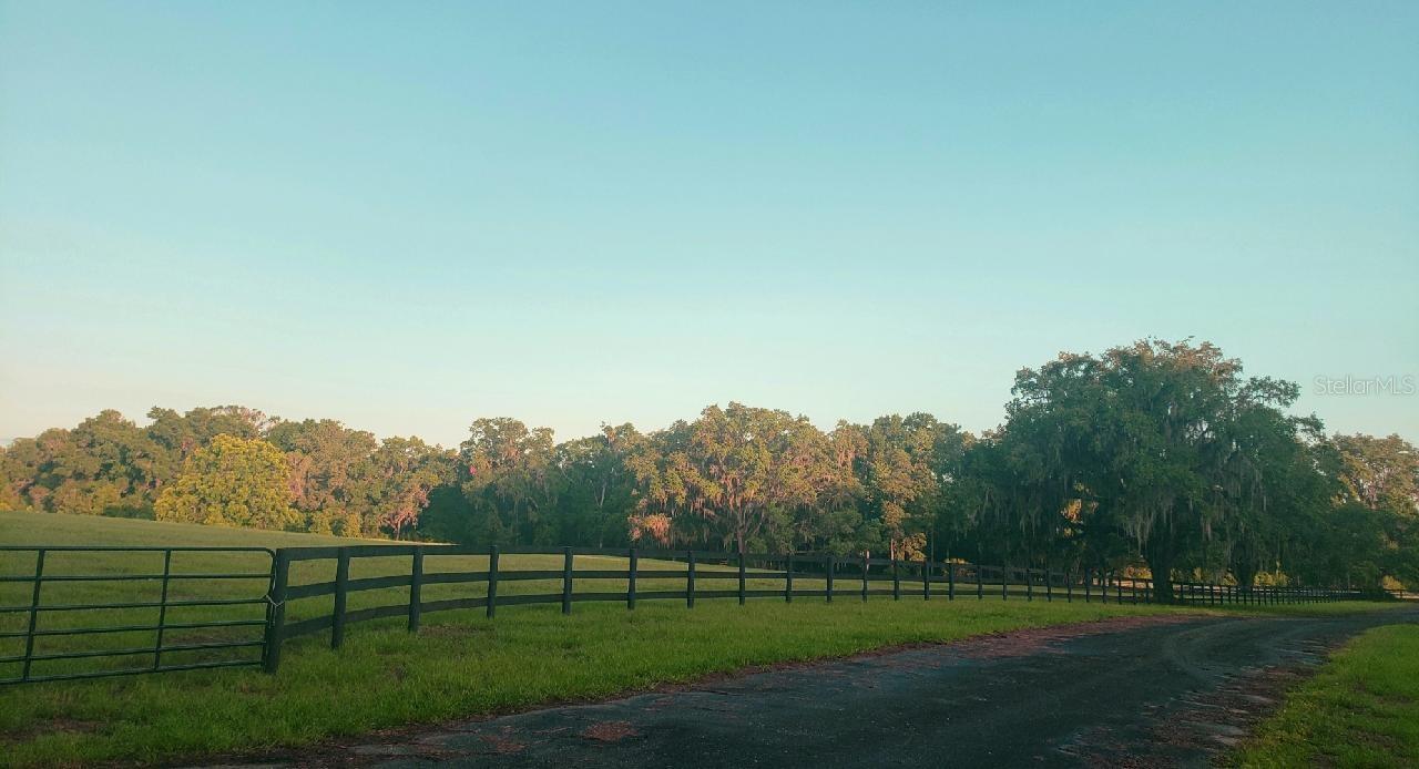 1077 SW 144TH COURT RD, OCALA, FL, 34481