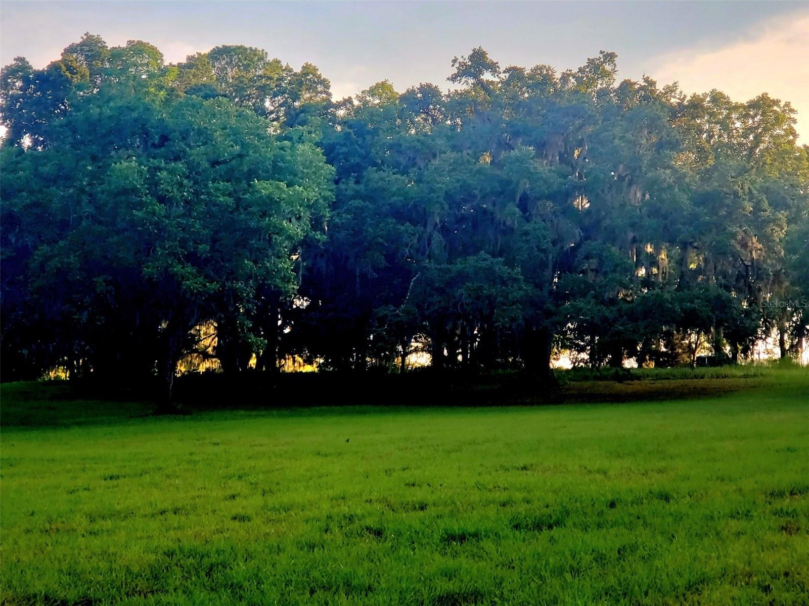 1077 SW 144TH COURT RD, OCALA, FL, 34481