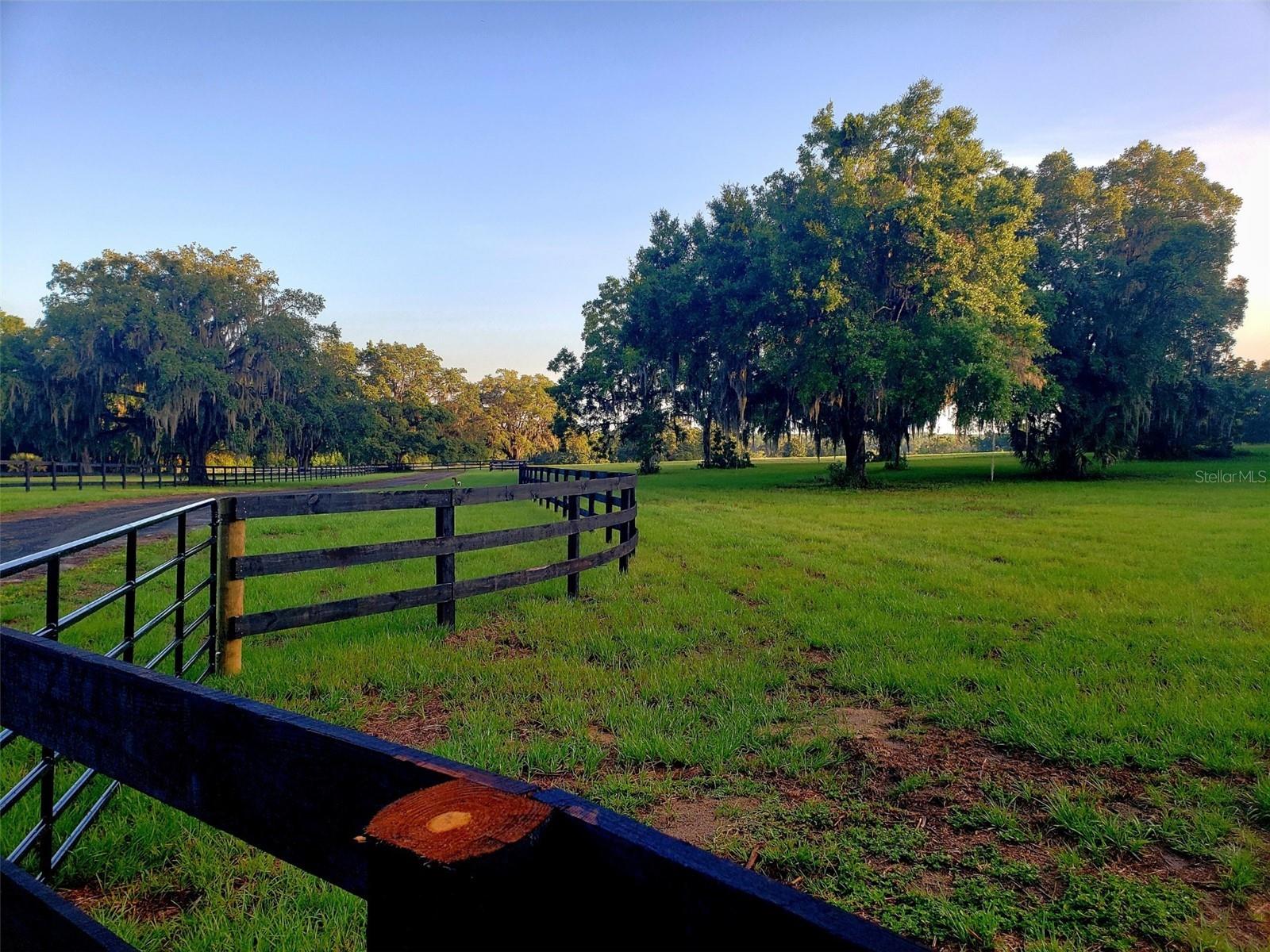 1077 SW 144TH COURT RD, OCALA, FL, 34481