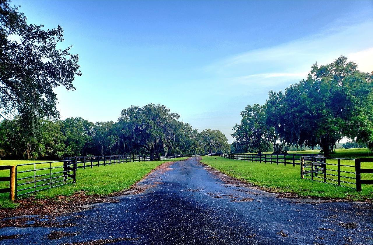 1077 SW 144TH COURT RD, OCALA, FL, 34481