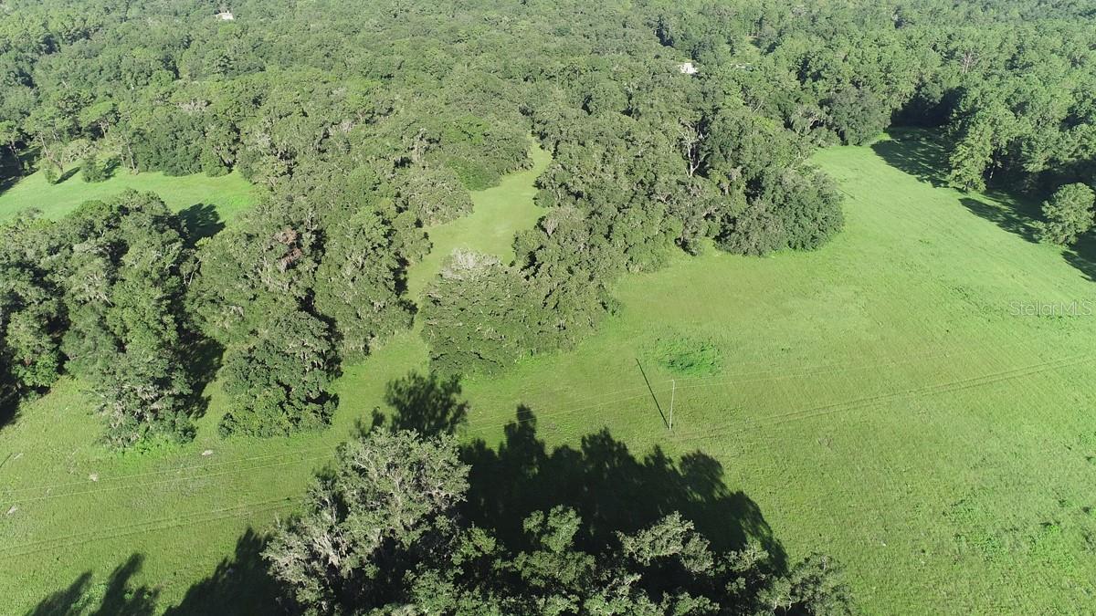 1077 SW 144TH COURT RD, OCALA, FL, 34481