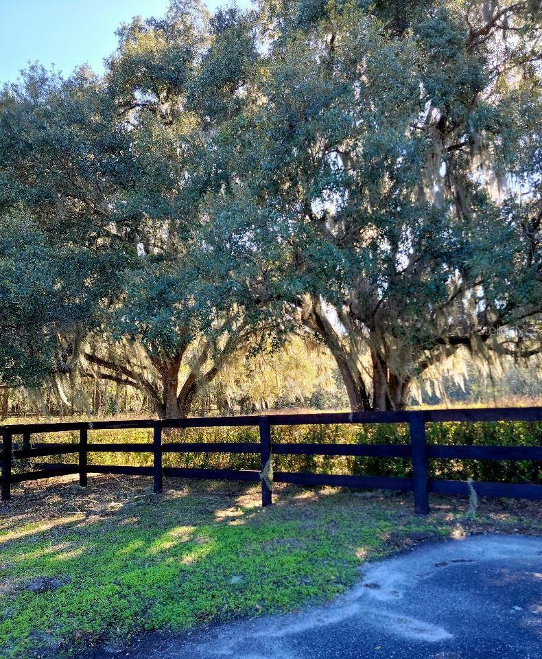1077 SW 144TH COURT RD, OCALA, FL, 34481