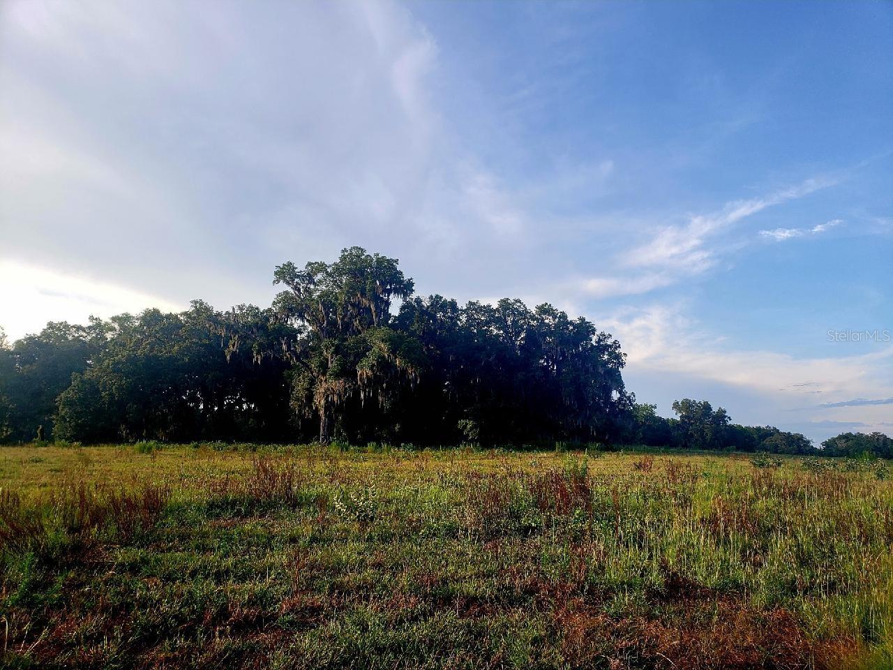 1077 SW 144TH COURT RD, OCALA, FL, 34481