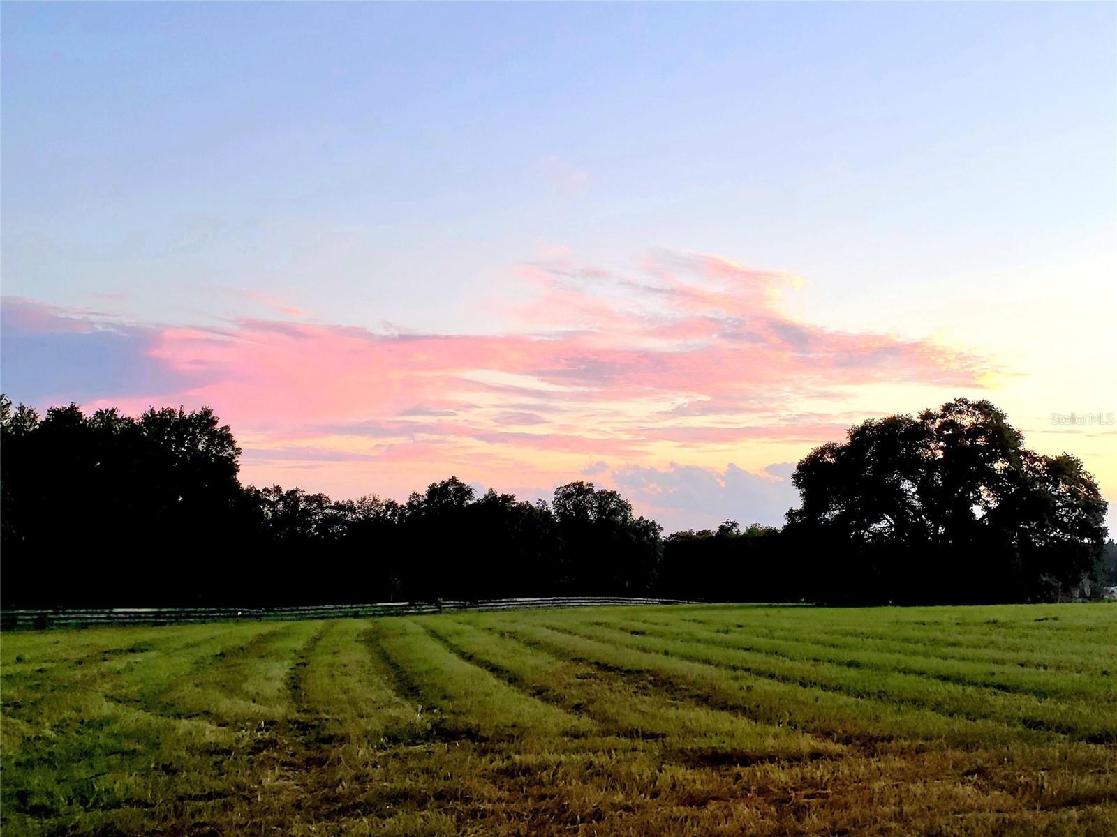 1077 SW 144TH COURT RD, OCALA, FL, 34481