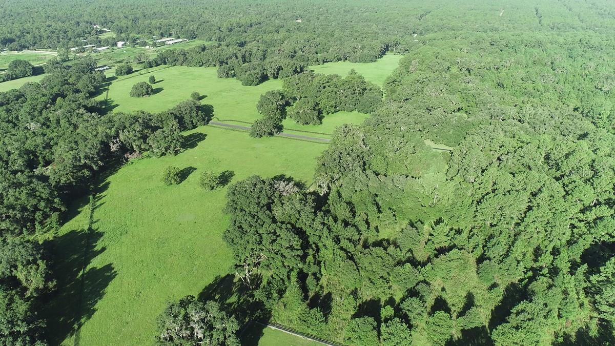 1077 SW 144TH COURT RD, OCALA, FL, 34481