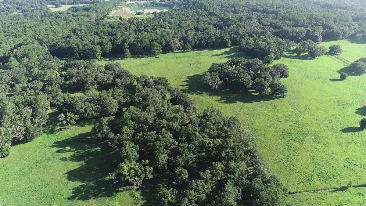 1077 SW 144TH COURT RD, OCALA, FL, 34481