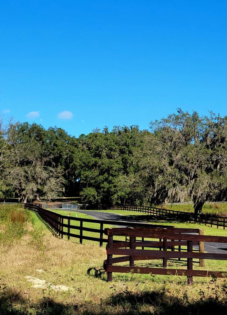 1077 SW 144TH COURT RD, OCALA, FL, 34481