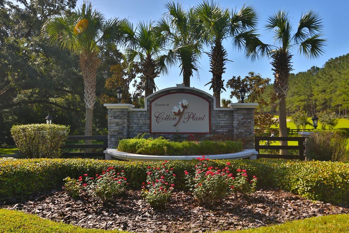 1077 SW 144TH COURT RD, OCALA, FL, 34481