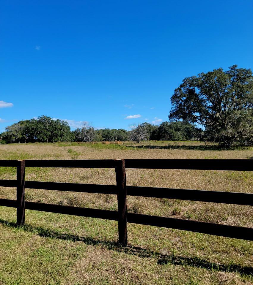 1077 SW 144TH COURT RD, OCALA, FL, 34481