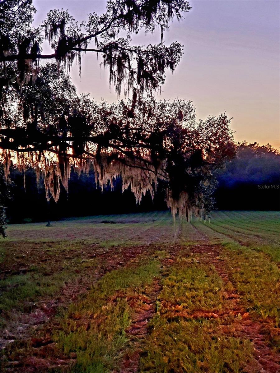 1077 SW 144TH COURT RD, OCALA, FL, 34481