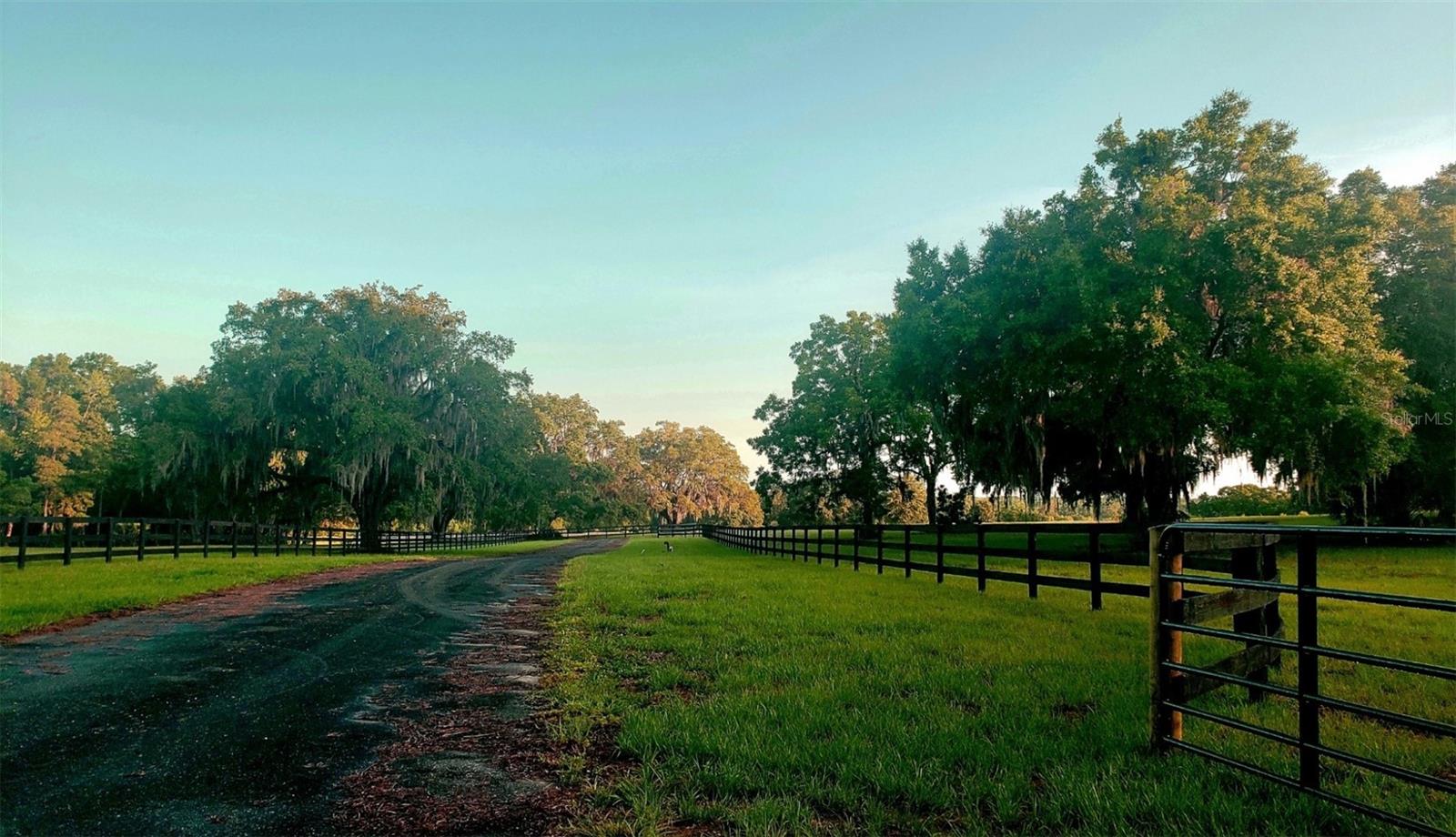 1077 SW 144TH COURT RD, OCALA, FL, 34481