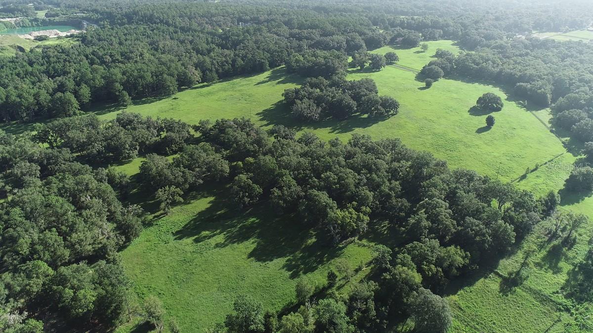 1077 SW 144TH COURT RD, OCALA, FL, 34481