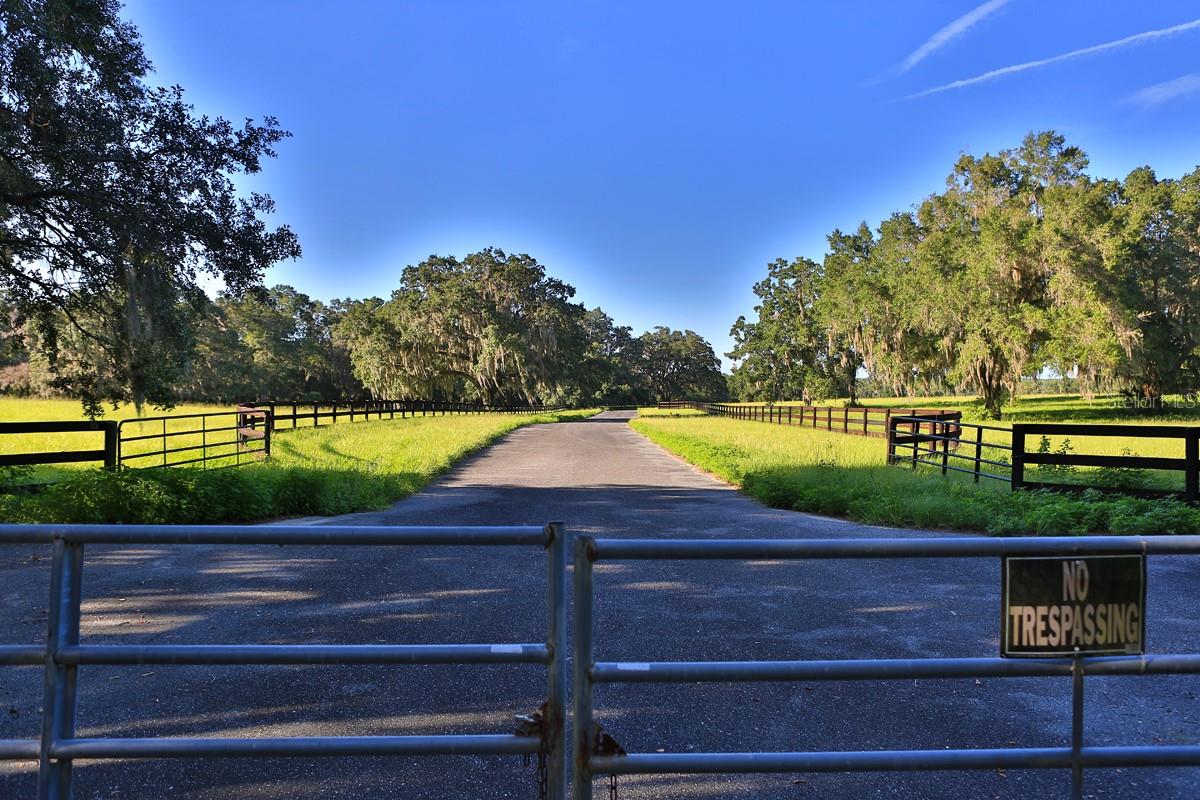 1077 SW 144TH COURT RD, OCALA, FL, 34481