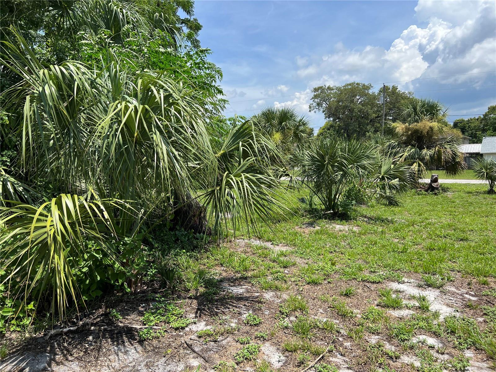 JOLLY ROGER DR, HUDSON, FL, 34667