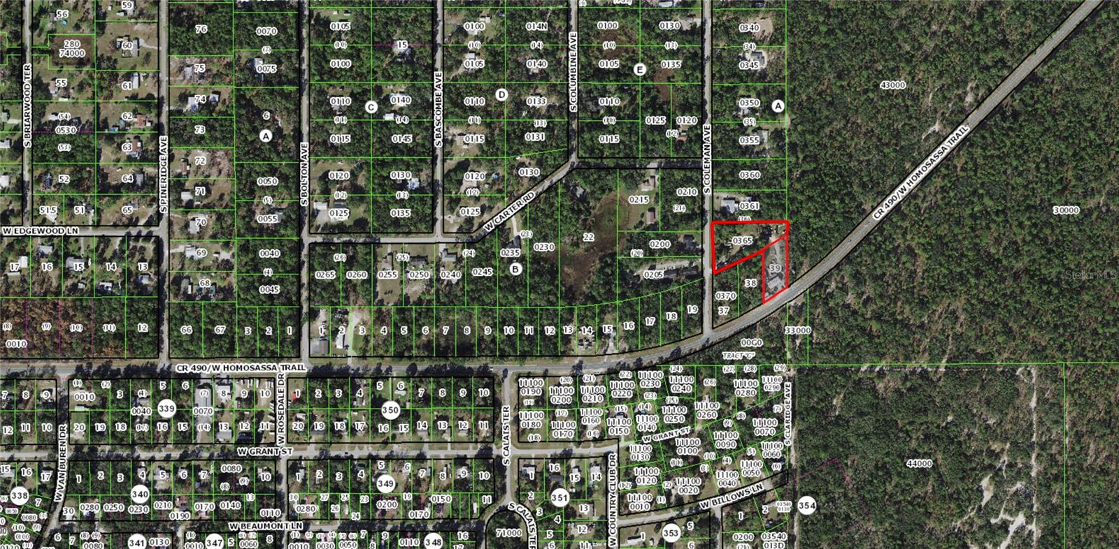 6011 W HOMOSASSA TRL, HOMOSASSA, FL, 34448