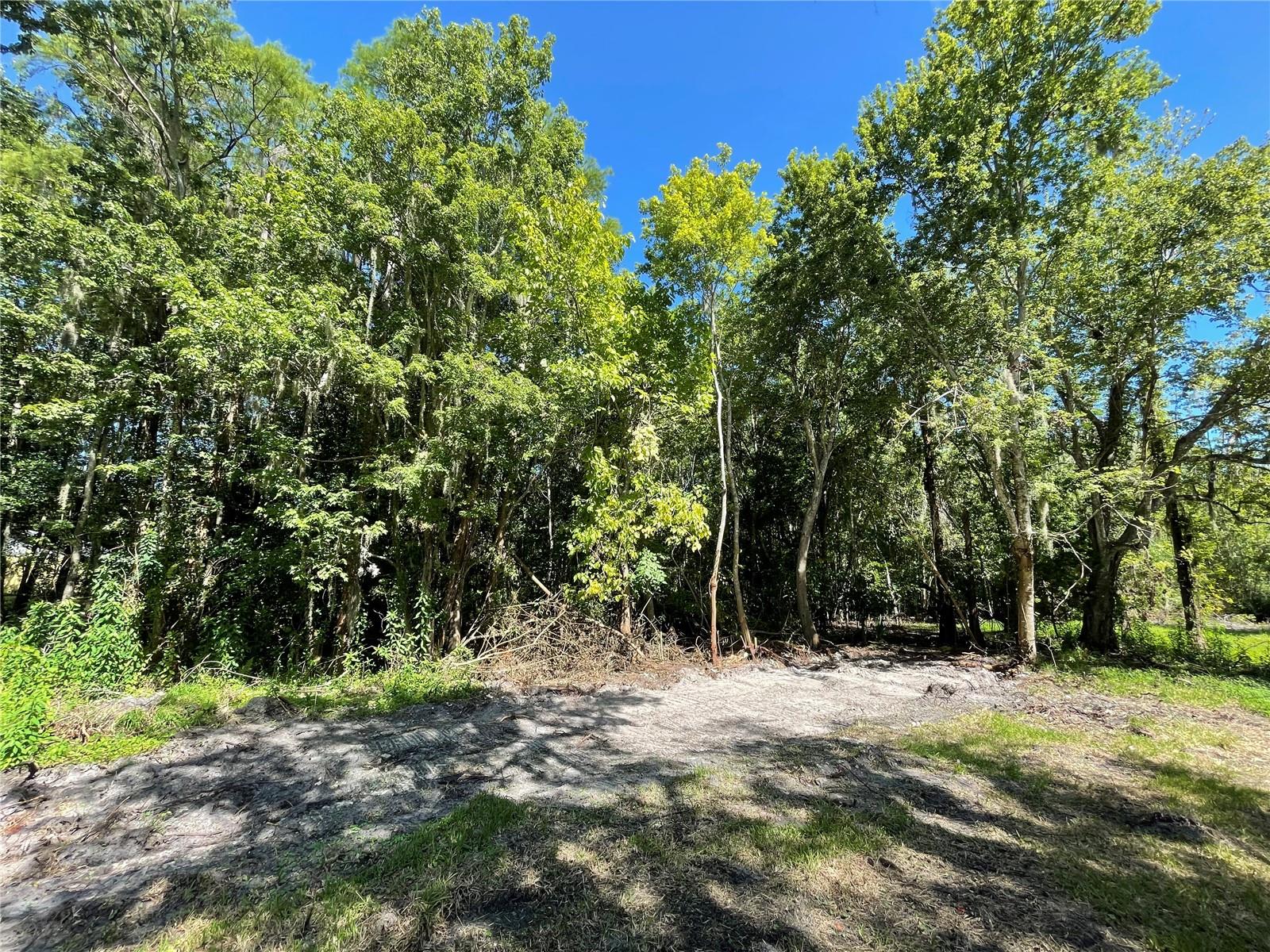 16415 BEARLE RD, ORLANDO, FL, 32828
