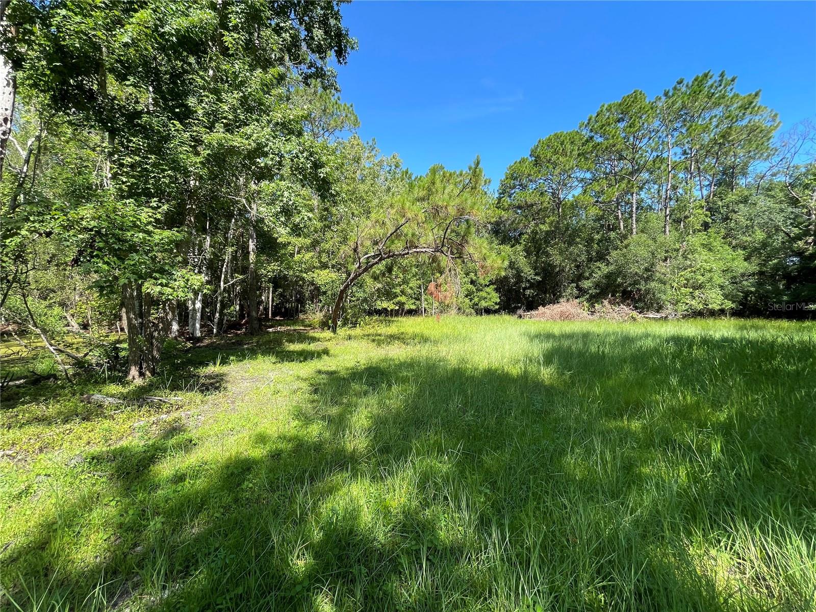 16415 BEARLE RD, ORLANDO, FL, 32828