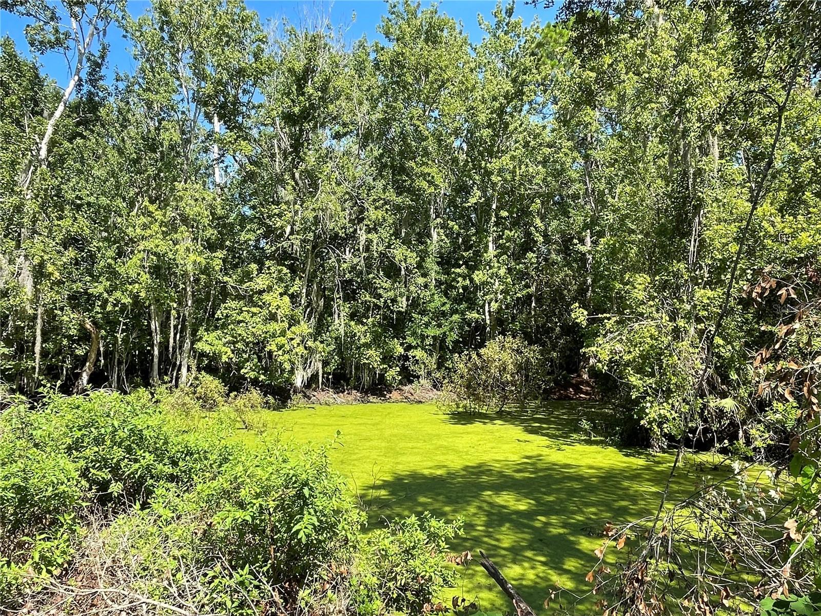 16415 BEARLE RD, ORLANDO, FL, 32828
