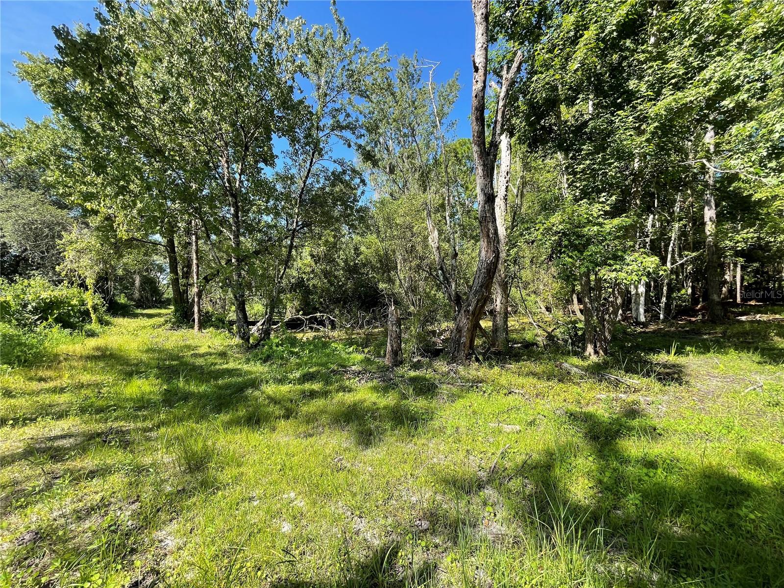 16415 BEARLE RD, ORLANDO, FL, 32828