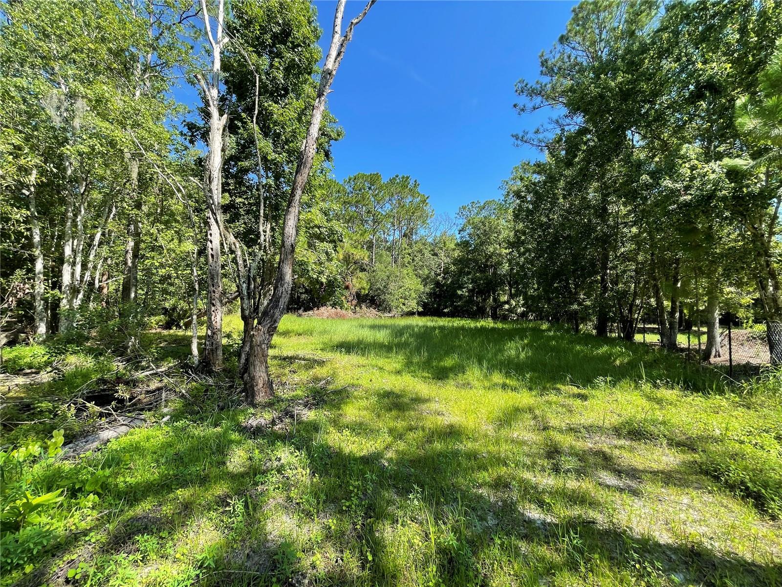 16415 BEARLE RD, ORLANDO, FL, 32828