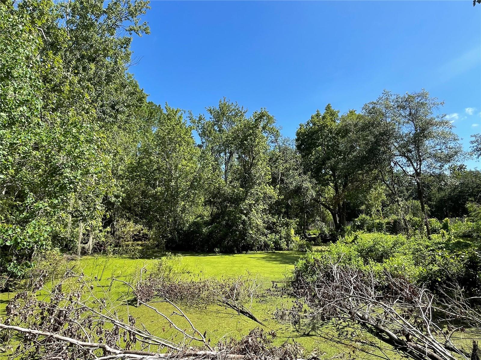 16415 BEARLE RD, ORLANDO, FL, 32828