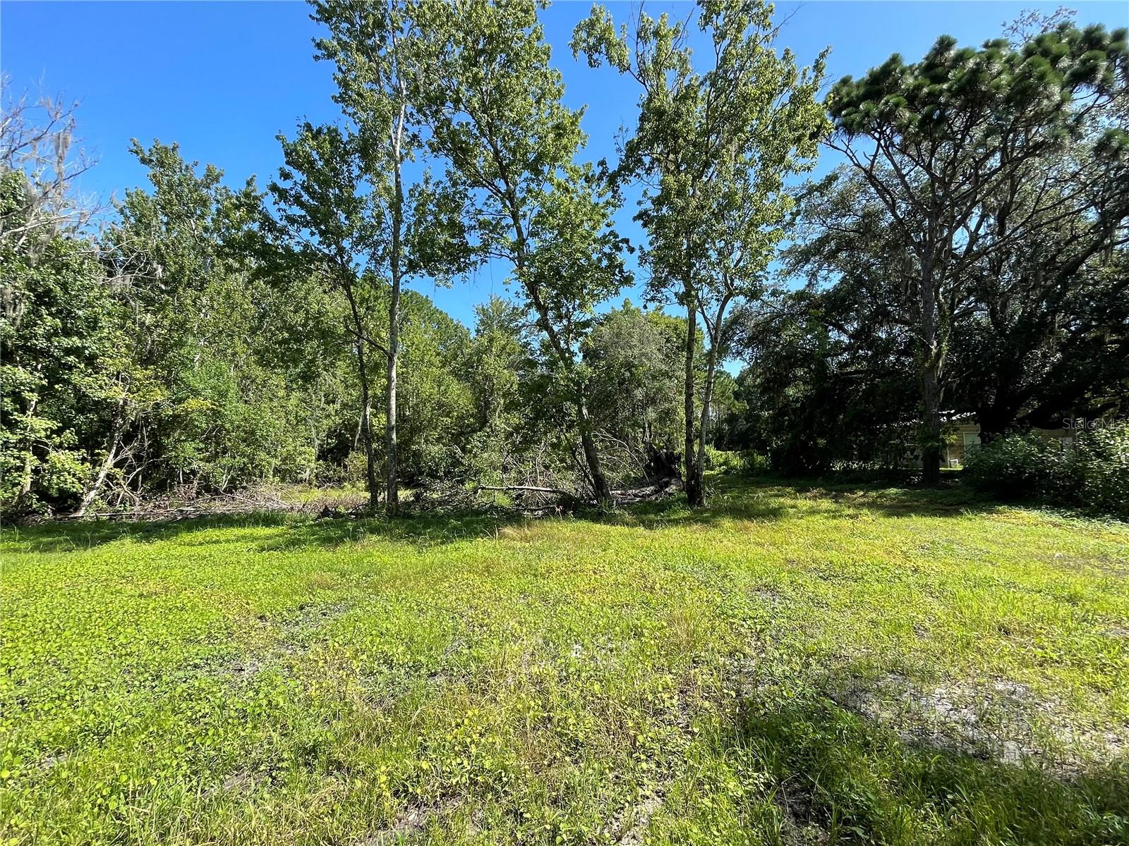 16415 BEARLE RD, ORLANDO, FL, 32828