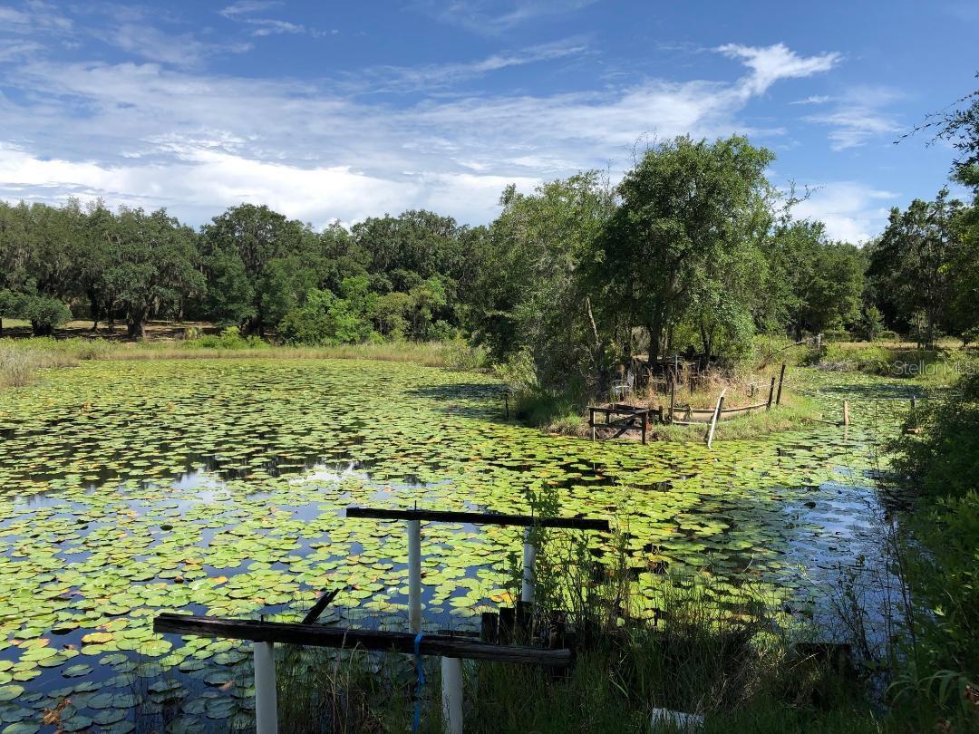 2802 CLEBURNE RD, ORLANDO, FL, 32817