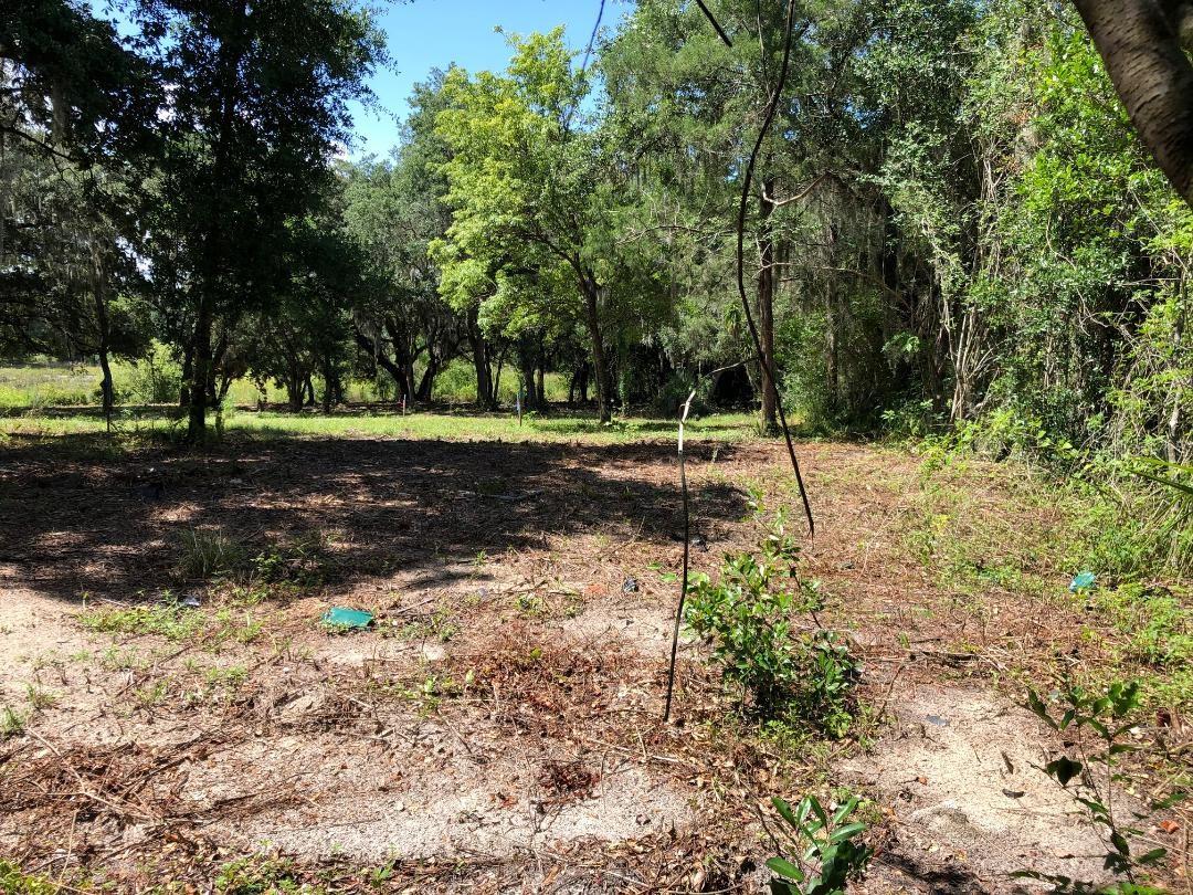 2802 CLEBURNE RD, ORLANDO, FL, 32817