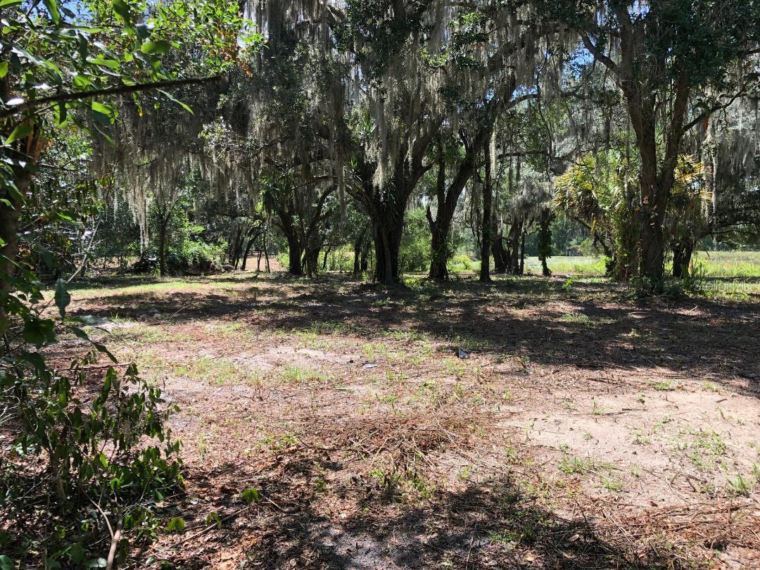 2802 CLEBURNE RD, ORLANDO, FL, 32817