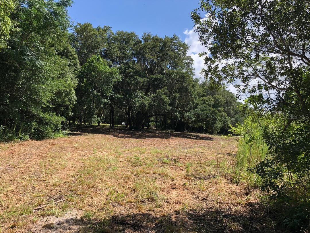 2802 CLEBURNE RD, ORLANDO, FL, 32817