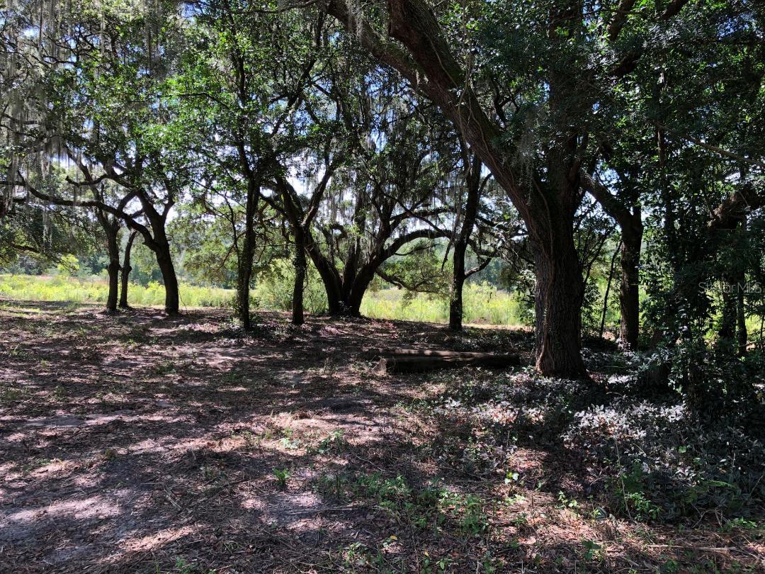 2802 CLEBURNE RD, ORLANDO, FL, 32817