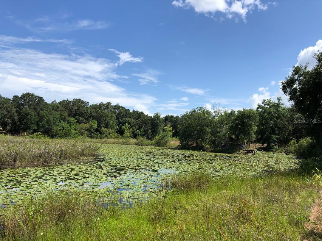 2802 CLEBURNE RD, ORLANDO, FL, 32817