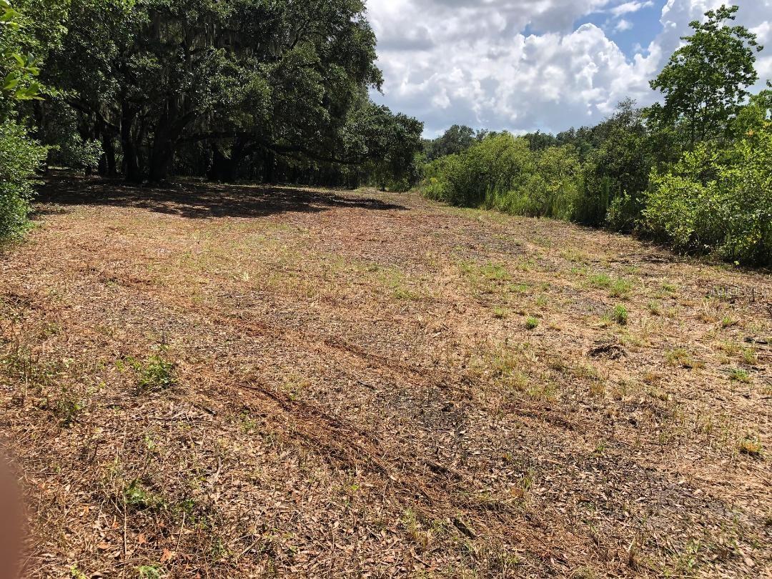 2802 CLEBURNE RD, ORLANDO, FL, 32817