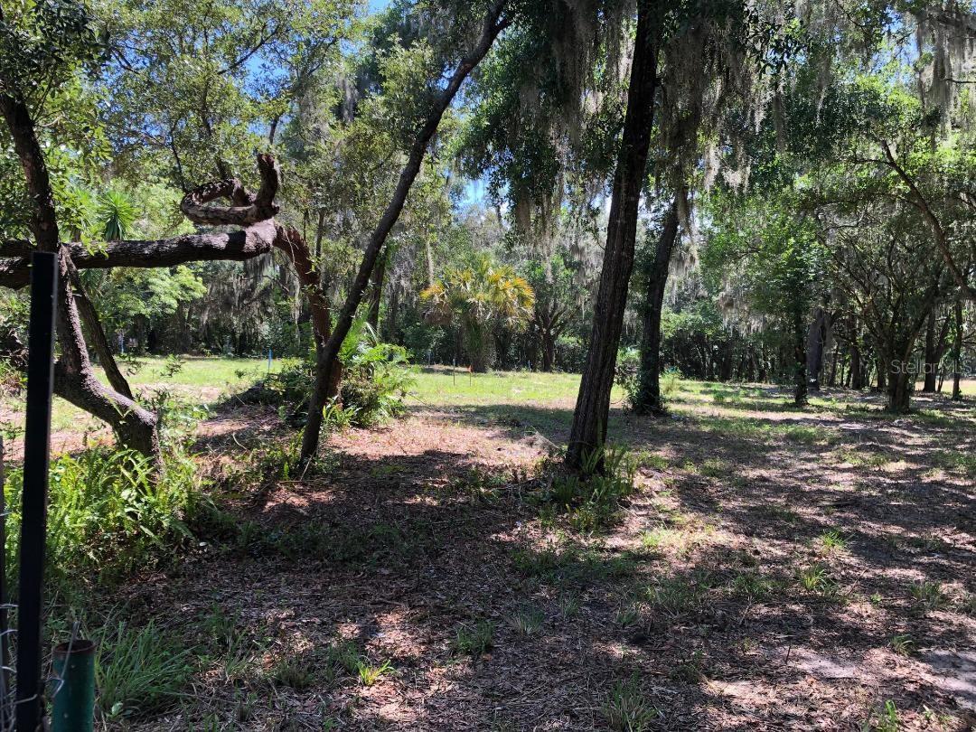 2802 CLEBURNE RD, ORLANDO, FL, 32817