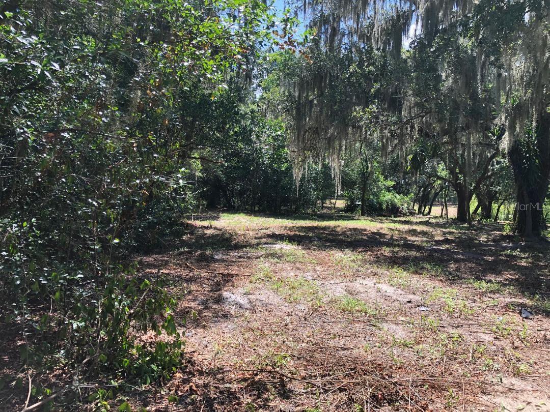 2802 CLEBURNE RD, ORLANDO, FL, 32817