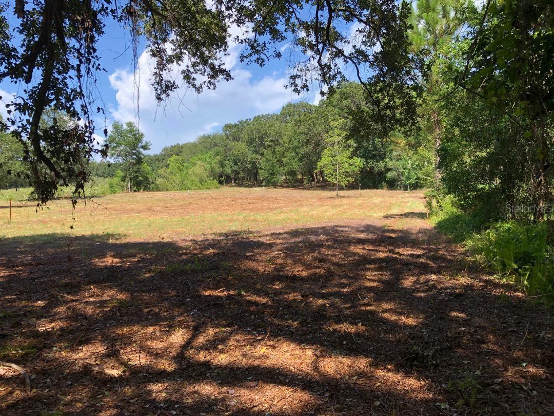 2802 CLEBURNE RD, ORLANDO, FL, 32817