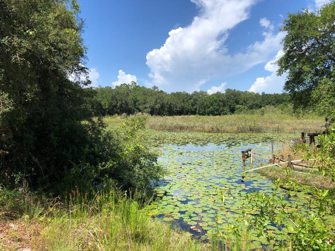 2802 CLEBURNE RD, ORLANDO, FL, 32817