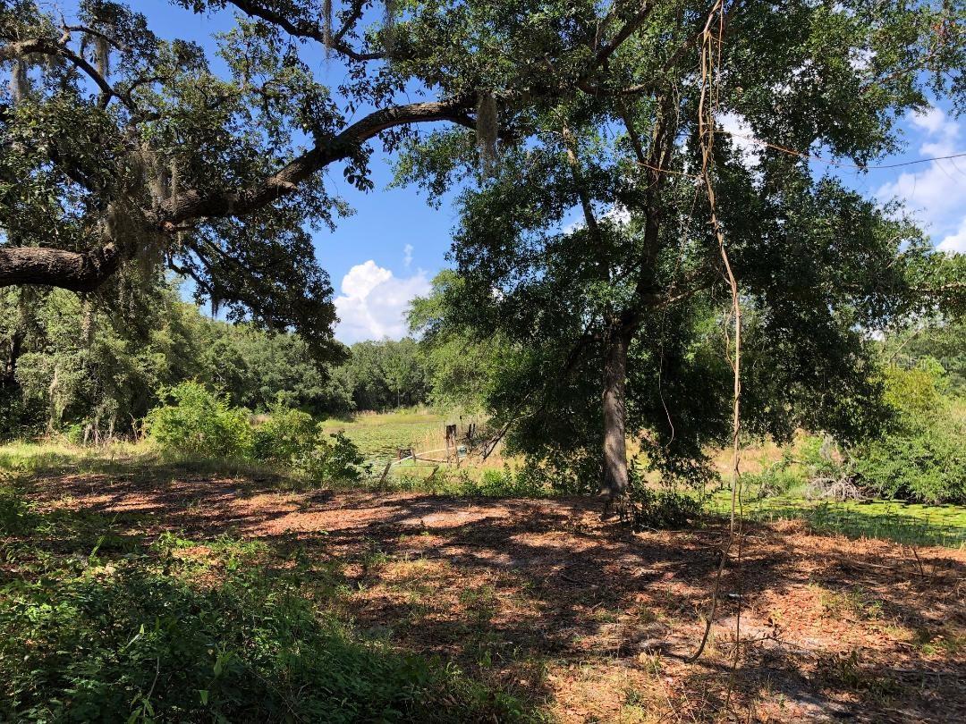 2802 CLEBURNE RD, ORLANDO, FL, 32817