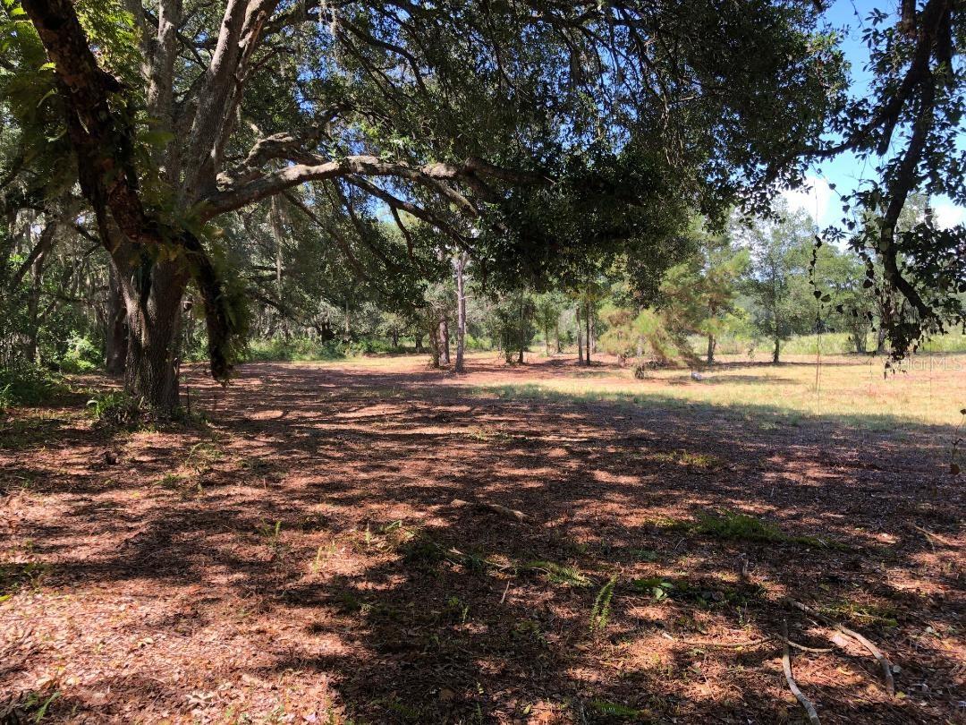 2802 CLEBURNE RD, ORLANDO, FL, 32817