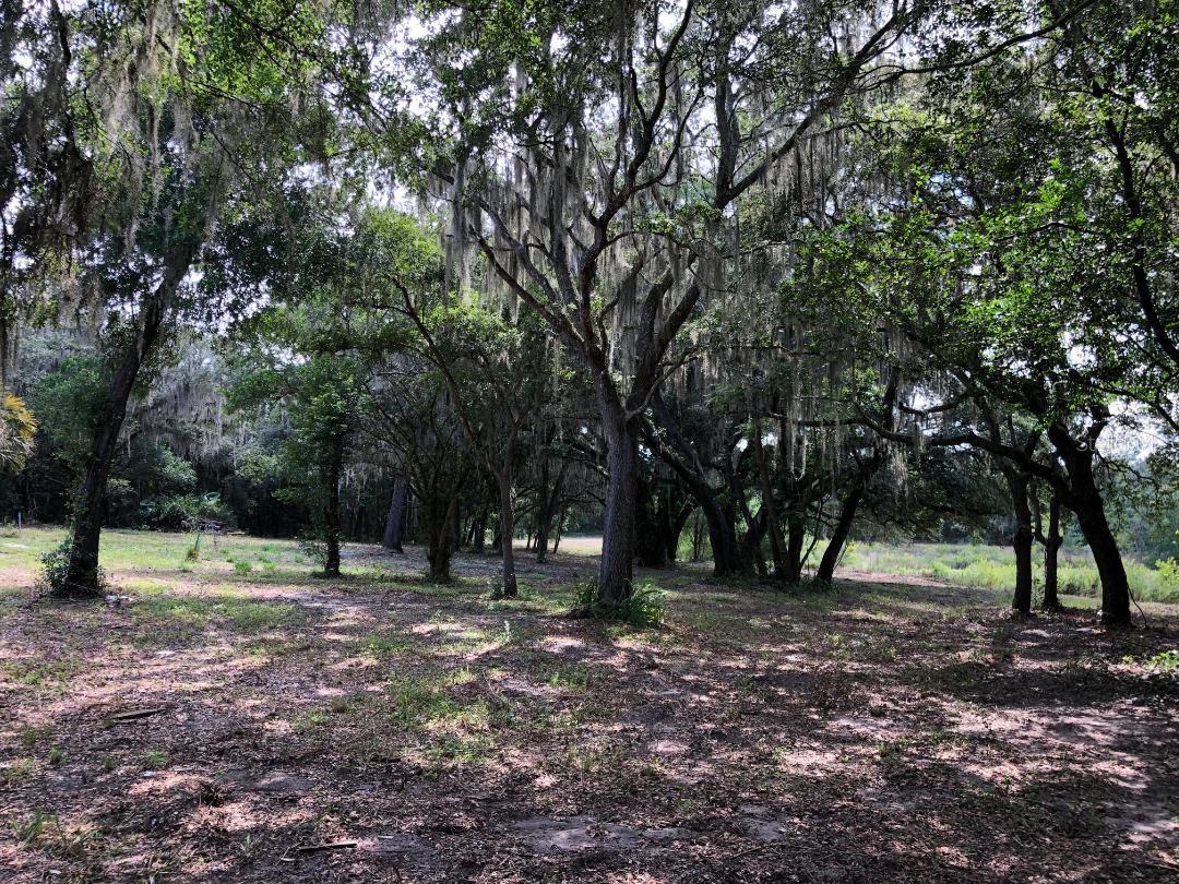 2802 CLEBURNE RD, ORLANDO, FL, 32817