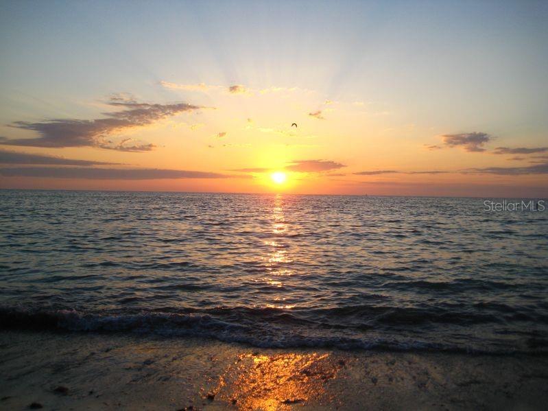 501 MANDALAY AVE #806, CLEARWATER, FL, 33767