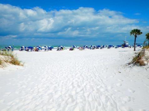501 MANDALAY AVE #806, CLEARWATER, FL, 33767
