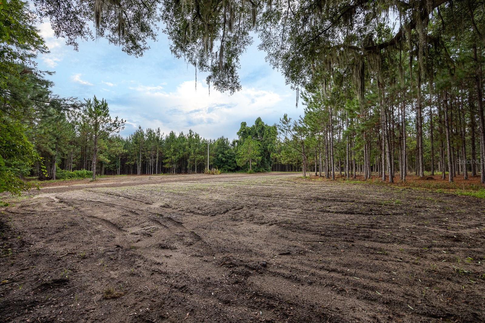21400 NW CR 235A, ALACHUA, FL, 32615