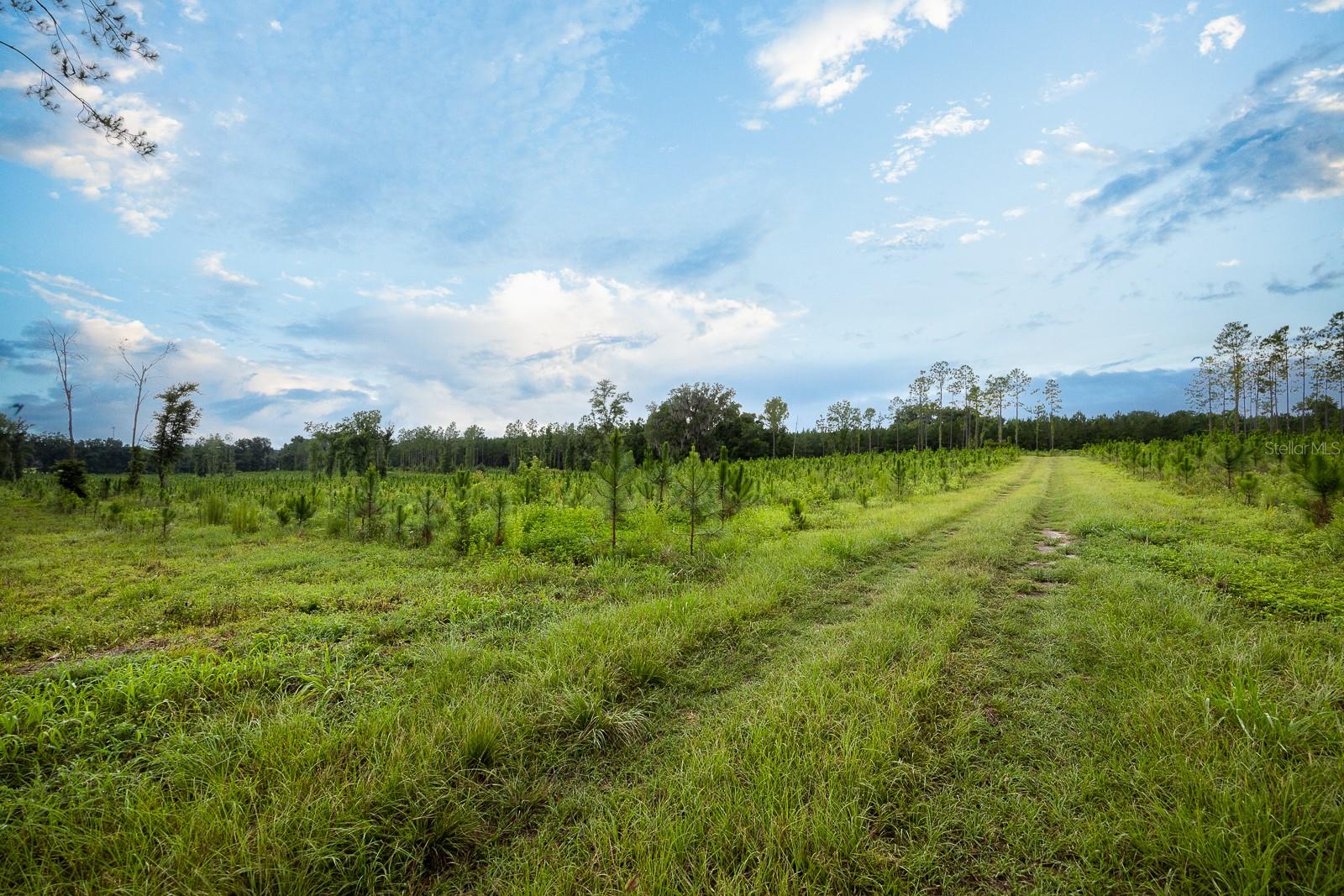 21400 NW CR 235A, ALACHUA, FL, 32615