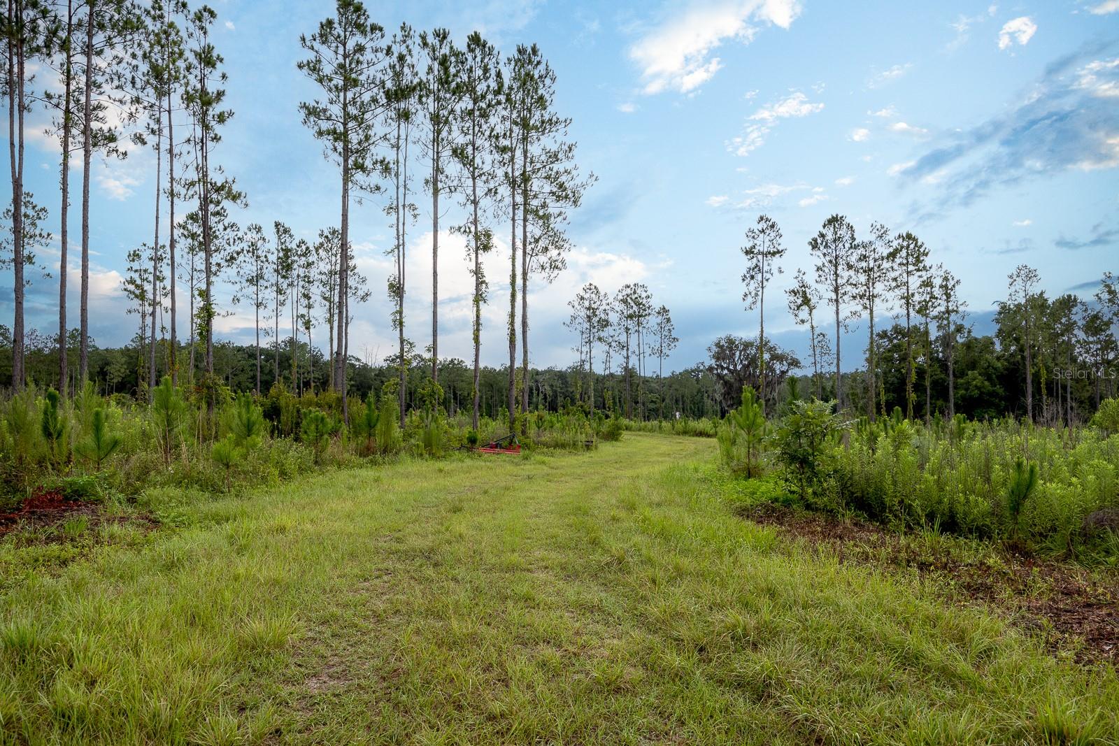 21400 NW CR 235A, ALACHUA, FL, 32615