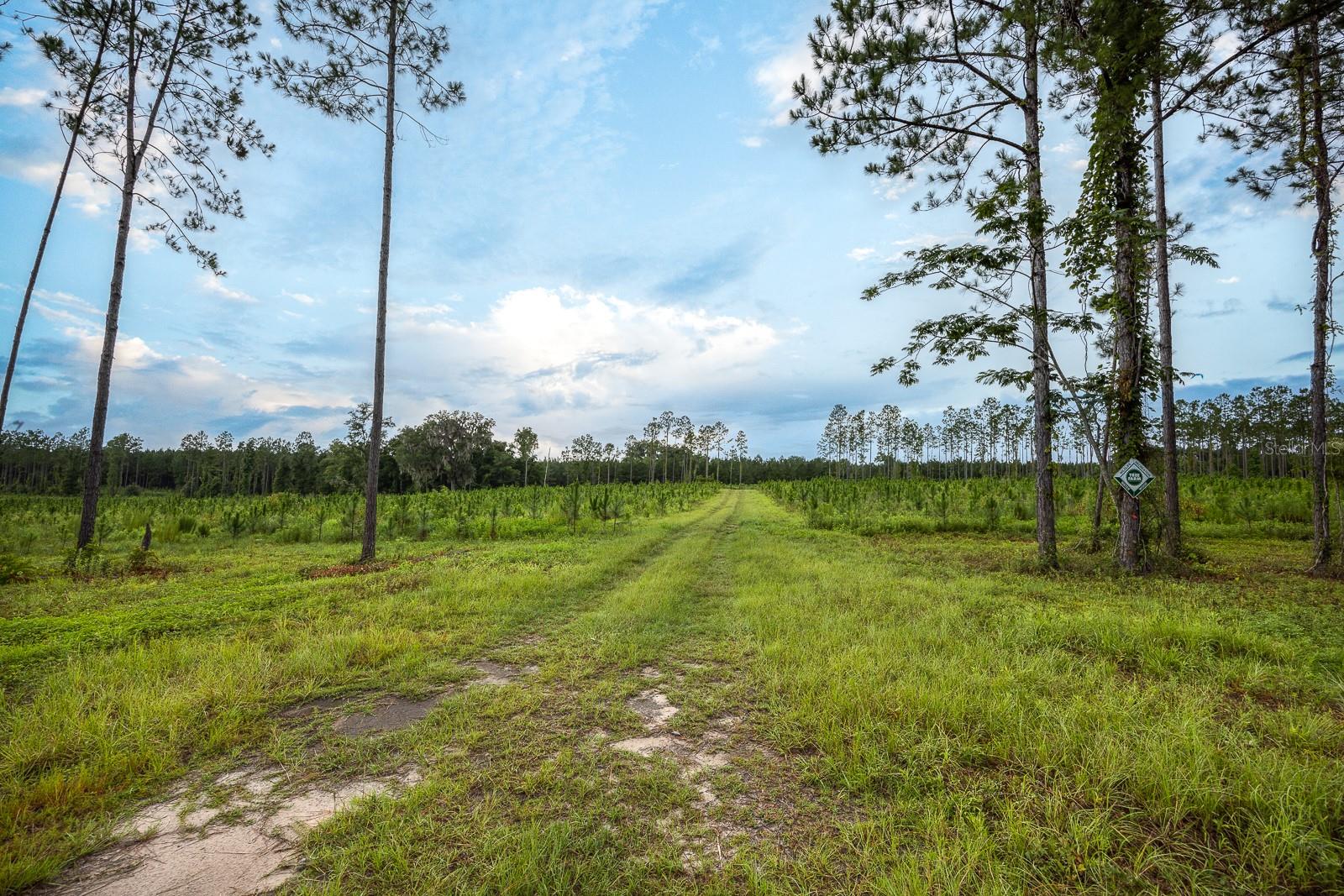 21400 NW CR 235A, ALACHUA, FL, 32615