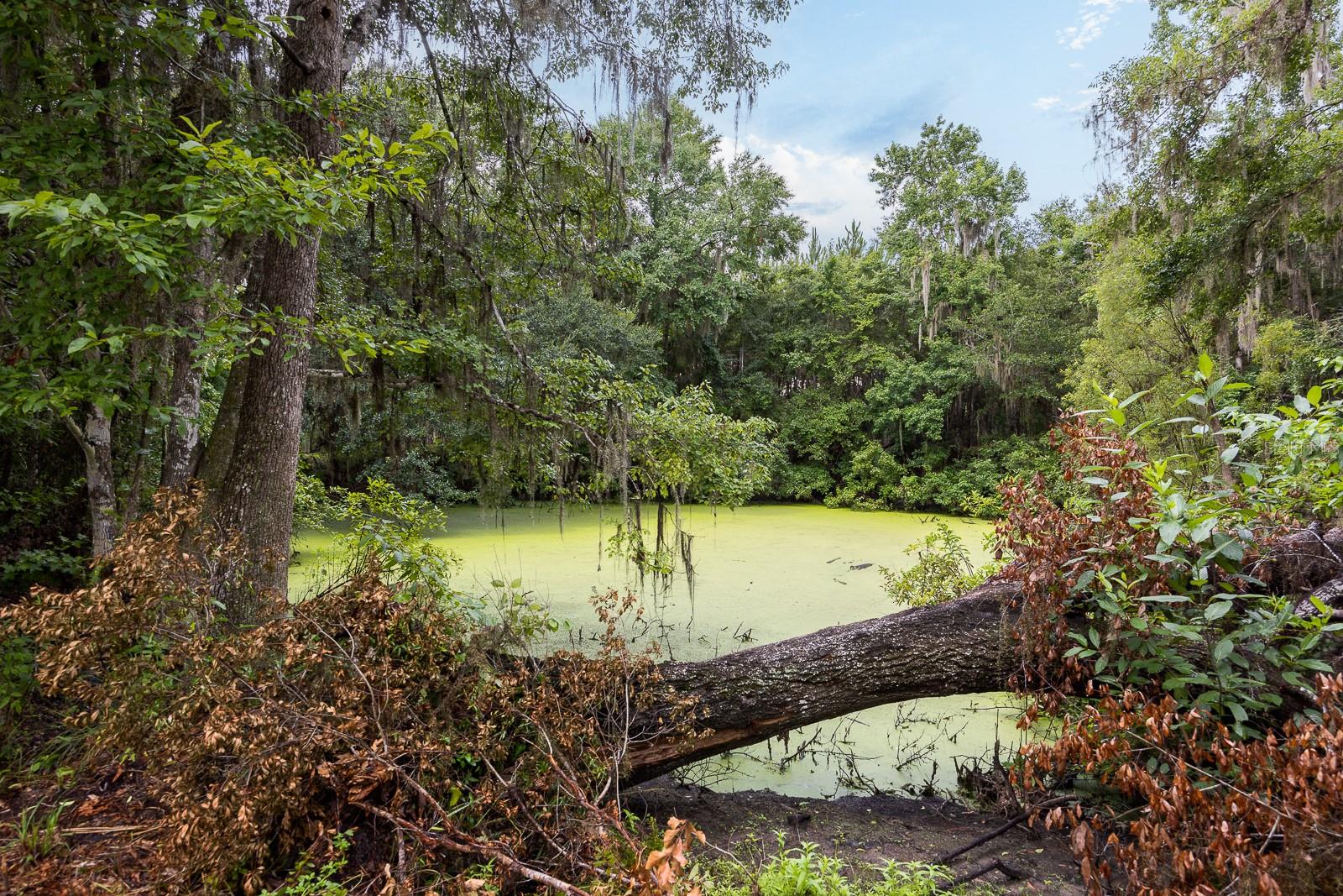 21400 NW CR 235A, ALACHUA, FL, 32615