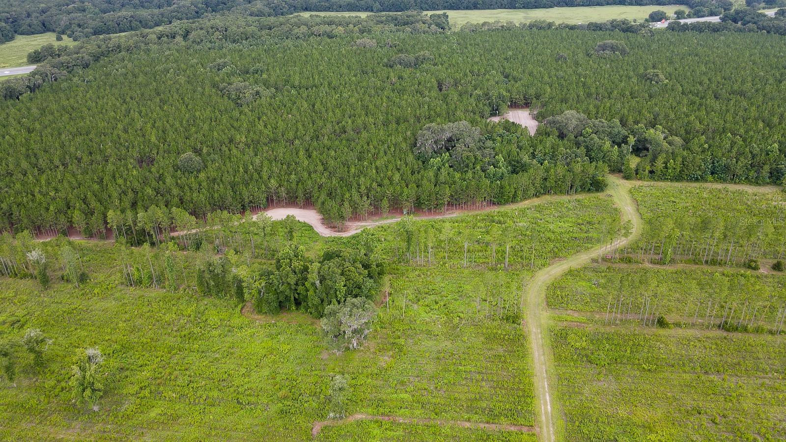21400 NW CR 235A, ALACHUA, FL, 32615