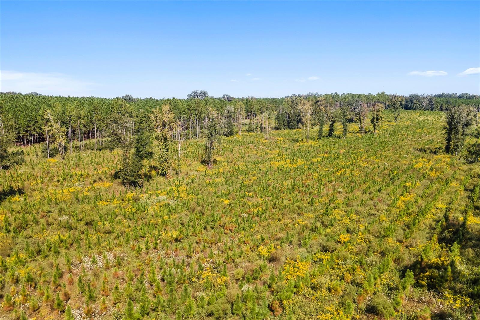 21400 NW CR 235A, ALACHUA, FL, 32615